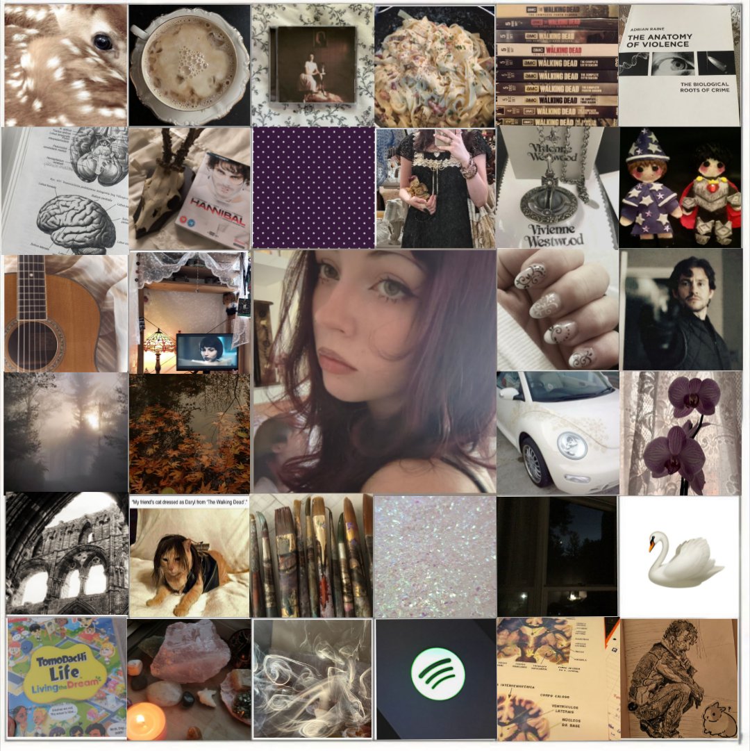 grimelocket's tweet photo. my moodboard ><

template in replies ! ! https://t.co/98mJmwkLu6