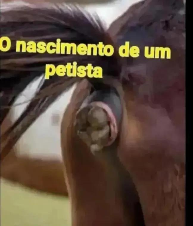 GodinhoKatia's tweet photo. @MachadoDarlon KKKK COITADO DO TRAVECO. PARECE UM GALO ARRWPIADO https://t.co/exBuINtipH