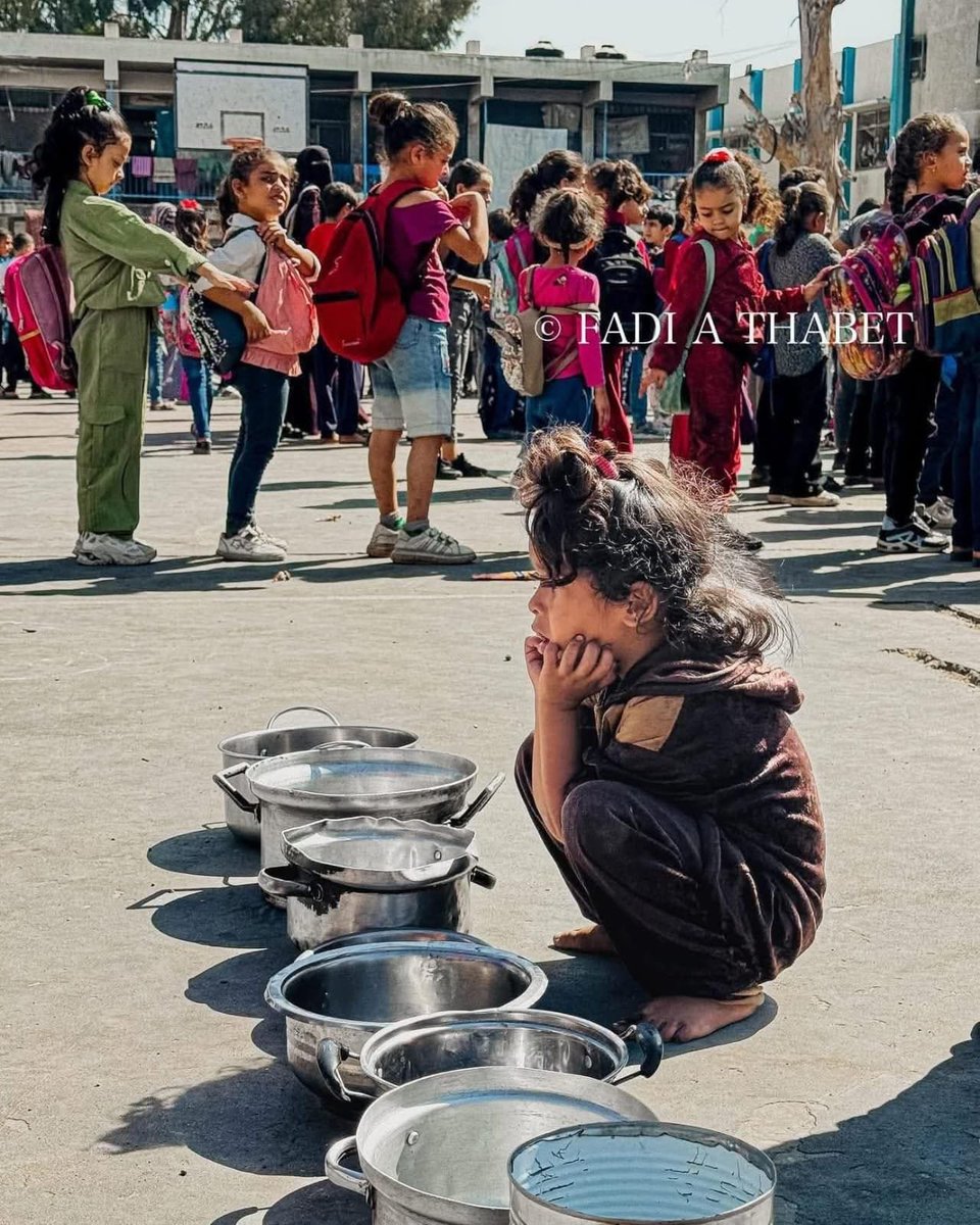 mahmoudAnw37968's tweet photo. @Figojam @lilyjayofficial ✋🙏 Please stop for a moment if you truly care about us, if you consider us human beings and not just numbers or images, share this post and you will be rewarded. We are trying to persevere, but we feel like the living dead. 💔😢😔🥀https://t.co/L3GjOTaQLf https://t.co/gJqjIkEEix