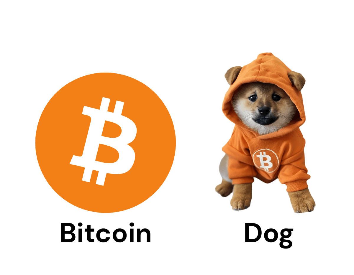 LeonidasNFT's tweet photo. Every blockchain needs a $DOG coin

Solana has BONK

Ethereum has SHIB

Dogecoin has DOGE

Bitcoin has $DOG!!!!!!!!!!! https://t.co/8kH9WZ8WJY