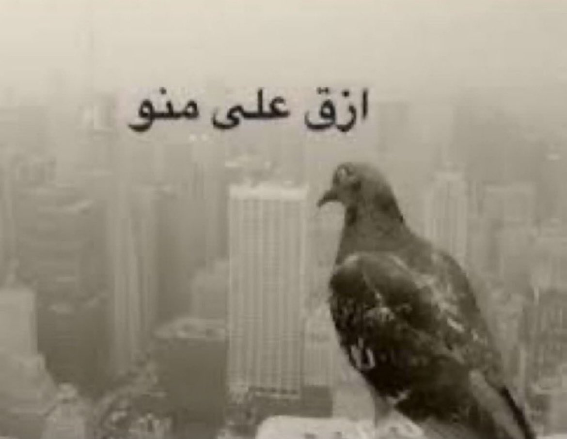 511userr's tweet photo. مانمت الا اربع ساعات ومنفسه https://t.co/h6jYMLBzSR