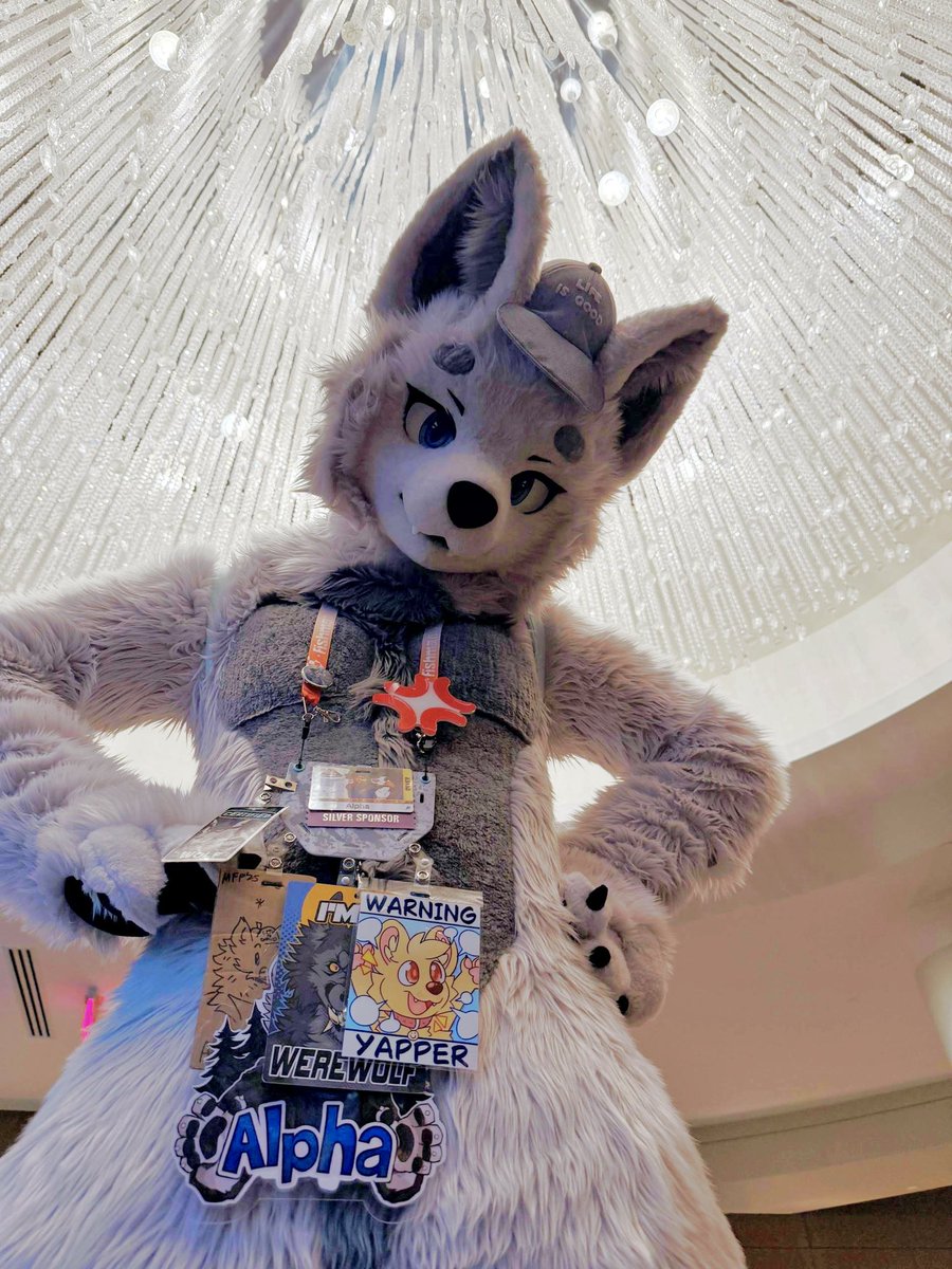 Alphfur's tweet photo. And that’s a wrap!!! MegaPlex was a blast and I’m thankful for all the friends who shared their time with me!! I couldn’t have asked for a better con to debut my suit at!!

I wish everyone a safe trip home!!!! https://t.co/jRJ7mLotER