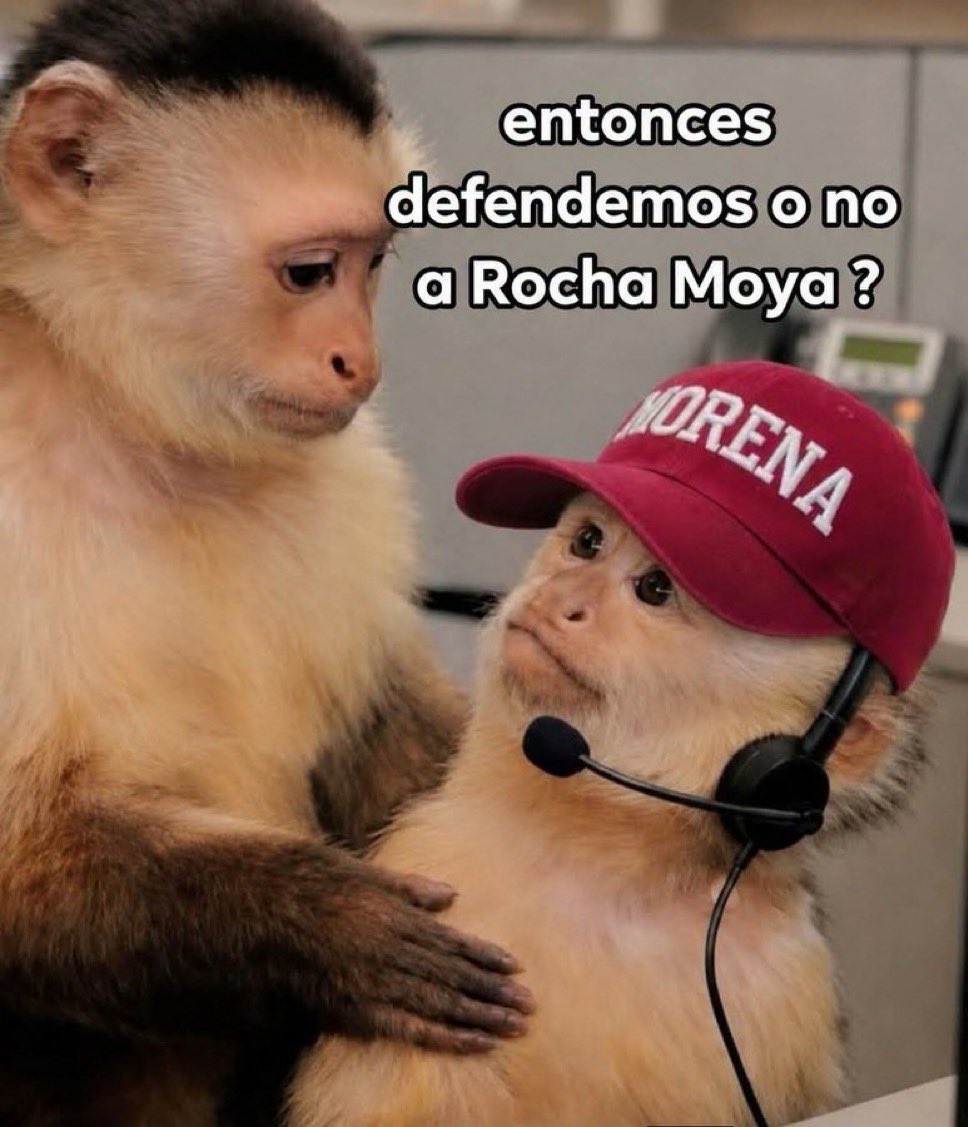 leon_horacio's tweet photo. @eltemagv Jajajajajaja hijos de perra jajajajajajajaja. No saben si ladrar, mover la cola o gruñir jajajajajaja https://t.co/SFTwItnJWX