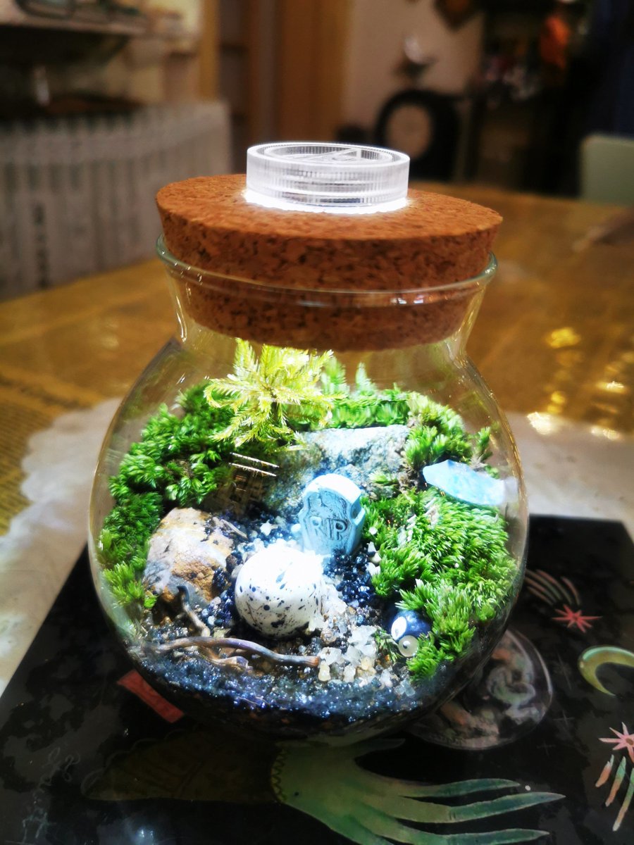 Suzilaw00047349's tweet photo. Just upcycled an old mason jar into a cute desk planter with some paint and jute rope!  So easy and satisfying, perfect for a lazy Sunday DIY https://t.co/wpA5XHRzc4