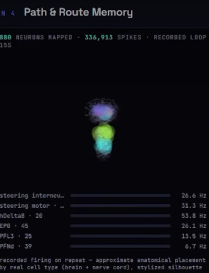HayOhbot19351's tweet photo. This guy is putting REAL FLY BRAINS inside minecraft to make the characters CONSCIOUS!!!

He is pairing the fly's "consciousness" to mobs inside minecraft and creating the "Minecraft Consciousness Zoo"

Literally shows proof of tracking the fly's neurons and brain activity...

THIS IS FUCKING INSANE!!!

https://t.co/vNE5Mp3iQu

Sending fees to his pump wallet