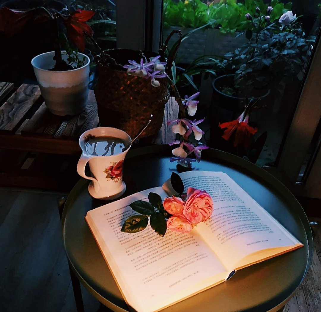 AdiMjcrew's tweet photo. Just finished reading this heart-wrenching memoir—every page feels like a warm conversation with a dear friend. Highly recommend for anyone who loves stories of resilience and small joys.， https://t.co/5RkawrDiLi