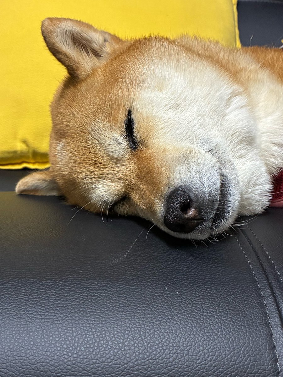 ronchan2639's tweet photo. おはよう
月曜日

新しい一日の始まり https://t.co/7uOk5yqIuf