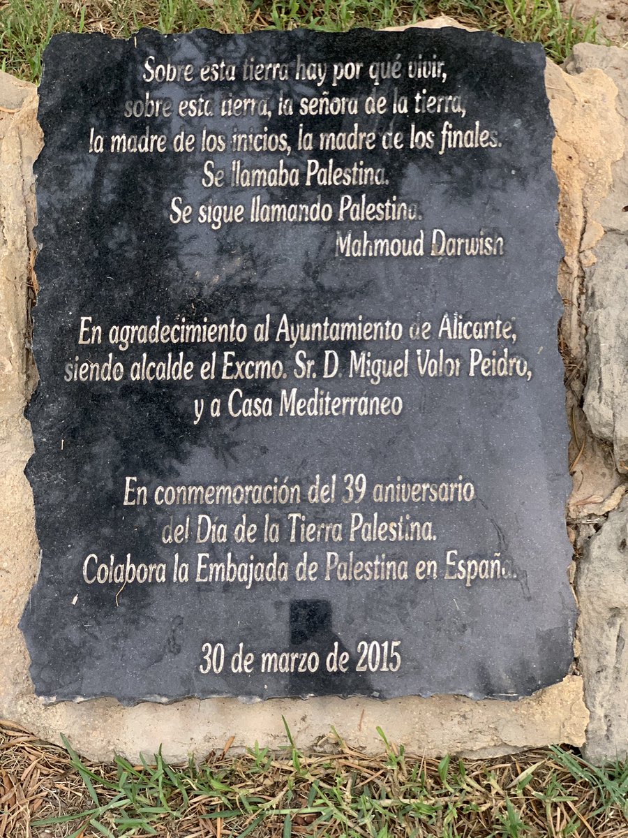 noalmamm's tweet photo. Esta placa bajo un Olivo en Alicante conmemoraba el 39 aniversario del Día de la Tierra Palestina y Miguel Valor Peidró era alcalde del PP. Parece mentira hoy por hoy y apenas hace una década de esto. https://t.co/jdfSI667jU
