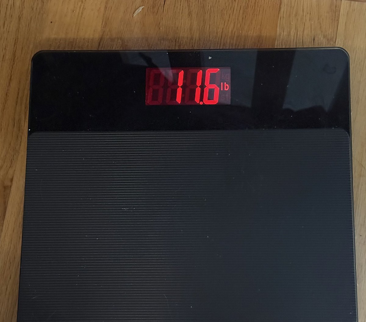 jihadi__commie's tweet photo. My cat keeps weighing himself on the scale I’m fucking crying 😭 https://t.co/Ia1ywF8oj4