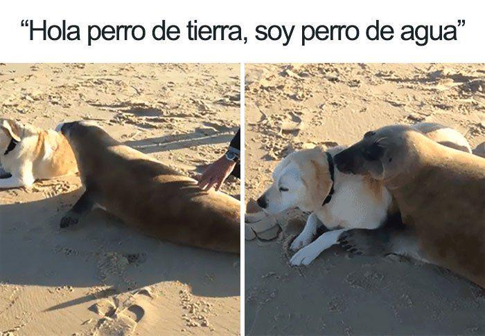 frenrenacido's tweet photo. Contenido bonito. https://t.co/TWuOunQEn0