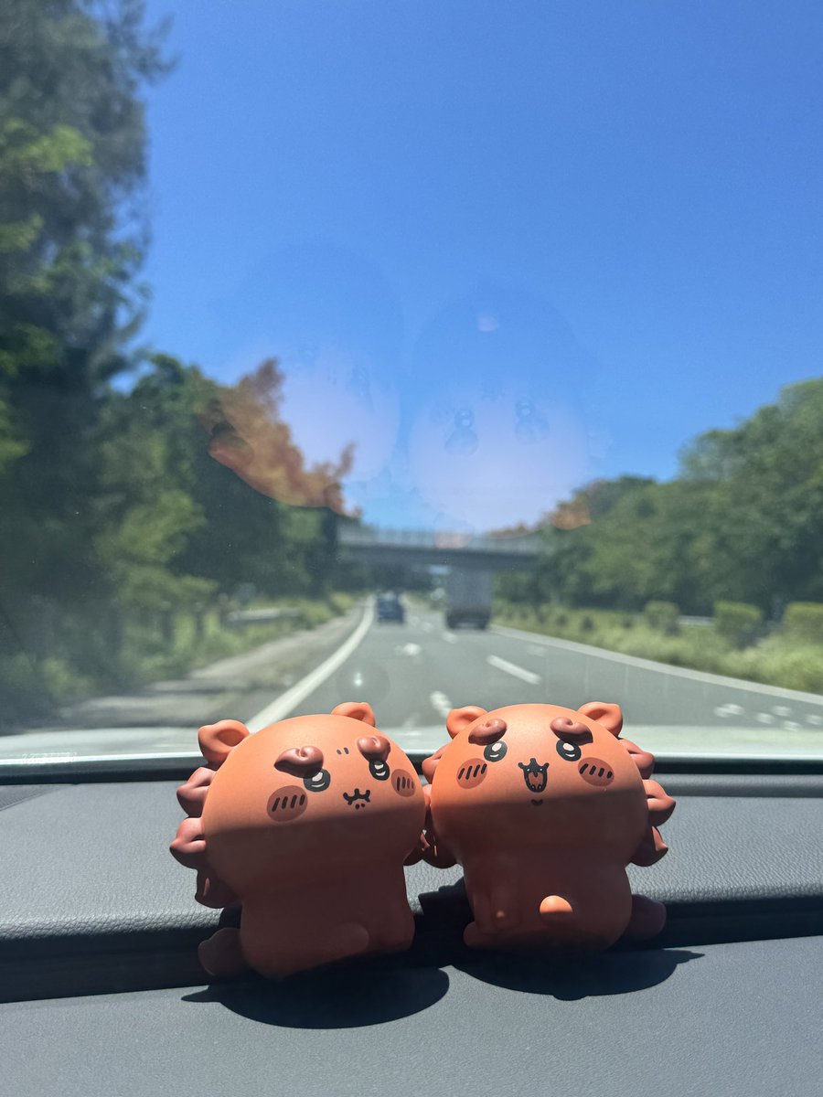 P2KE2XDl9p14871's tweet photo. 日焼けシーサーってみんなに言われるけど、⁡沖縄育ちの私には赤土で作られた立派なシーサーに見えるよ(՞⸝⸝ᵒ̴̶̷᷄꒳ᵒ̴̶̷᷅⸝⸝՞)🌺 https://t.co/r3Lk32RsMZ