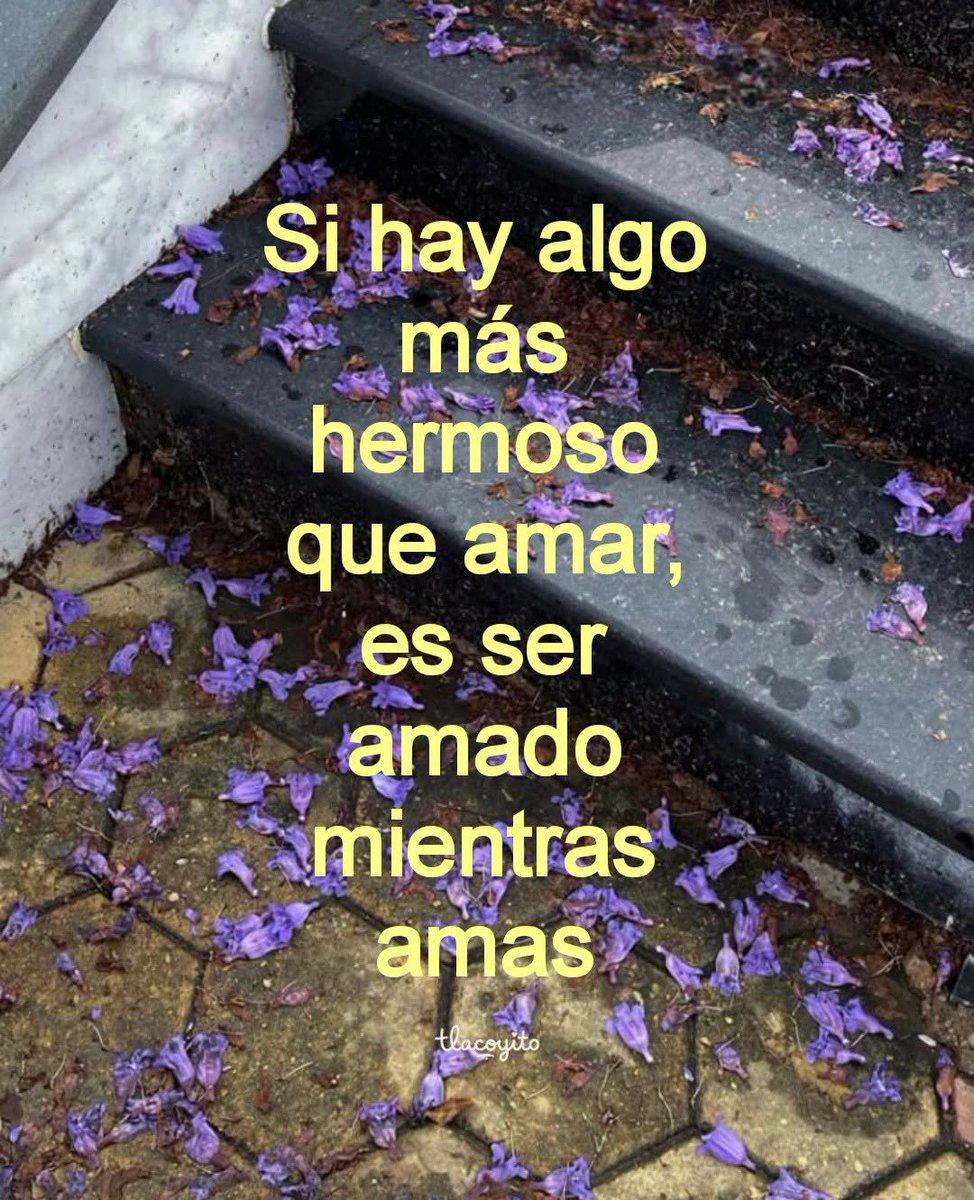 Bandidosfrasess's tweet photo. https://t.co/zcZQONRbFT