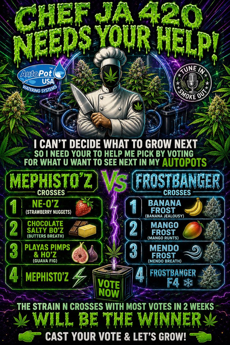 ChefJa42082's tweet photo. Help me pick my next grow   For my @autopotusa    @MephistoGenetic  vs @Fast_Buds   U decide https://t.co/kyqi1vusy4