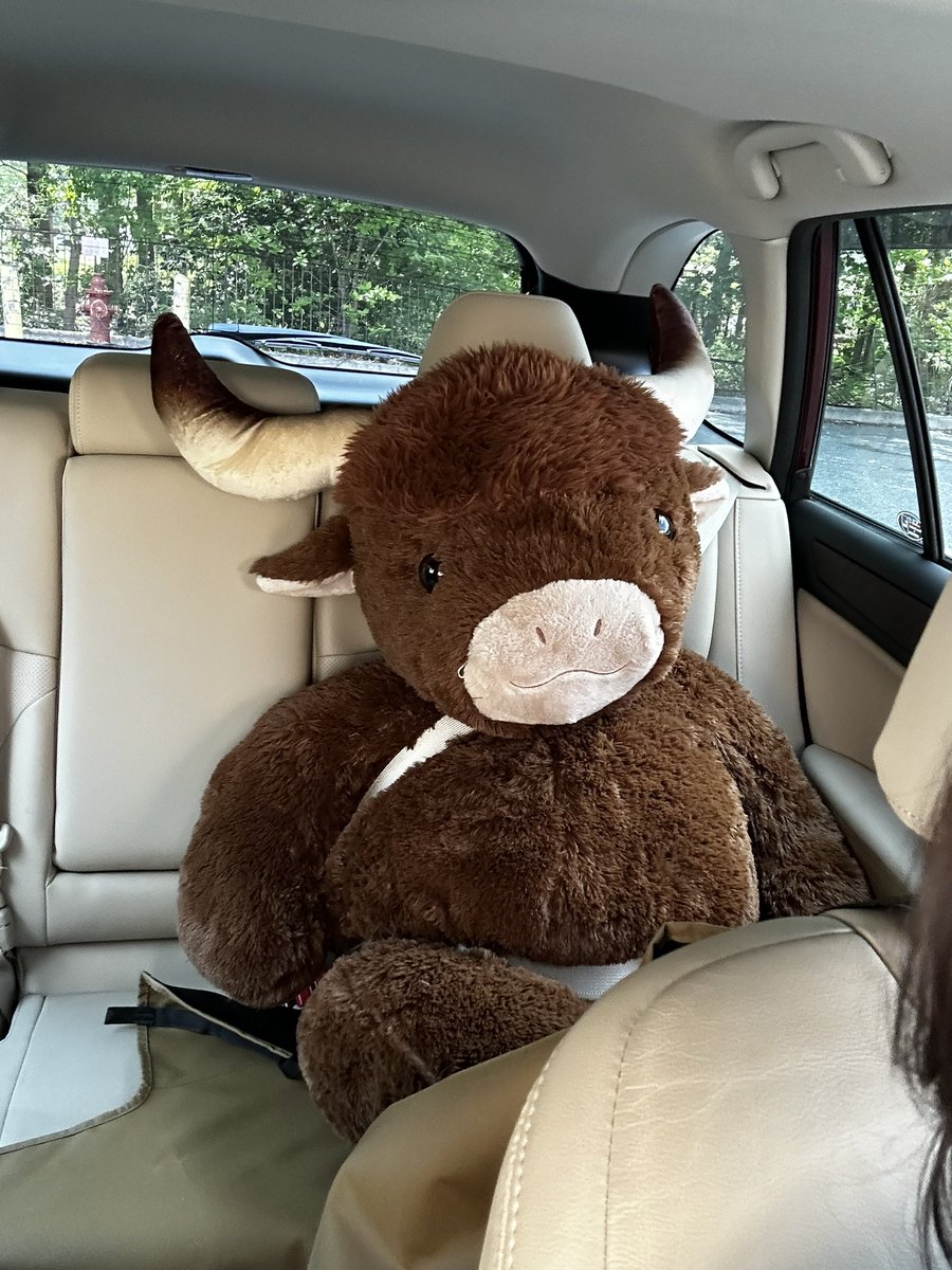 ketamyned's tweet photo. this is what i bought today with my adult money https://t.co/DPF06x1tpC