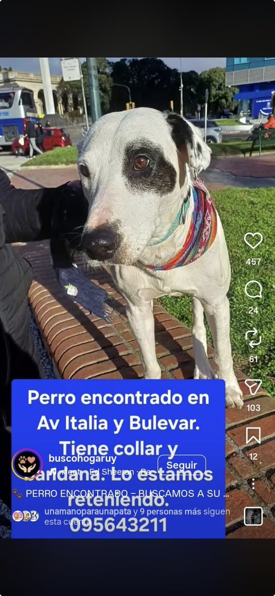 Adriana43587622's tweet photo. https://t.co/Cxs1KdbyDh