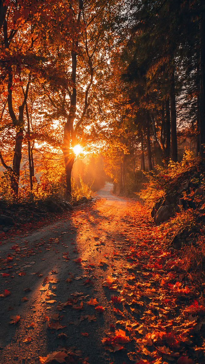 ____flowers__'s tweet photo. Autumn Morning Walks 😍🍂 https://t.co/6QcKOPDQvQ
