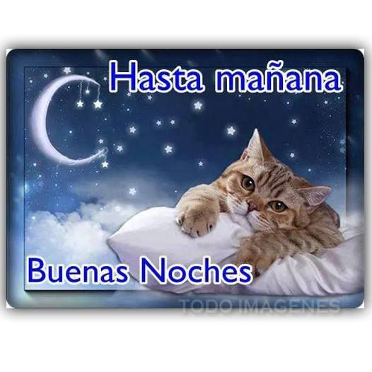 coolfunnnn's tweet photo. buenas noches,,,,!!!! https://t.co/S4sqfMouZp