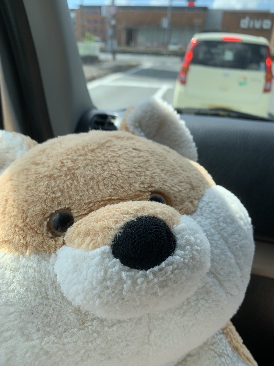 sagesseRUNKA's tweet photo. はいどぉも～(っ ॑꒳ ॑c)
高知に戻りましたよぉ～🎶

昨日は疲れで帰宅後爆睡…
で、今日は朝からサーフ🎣

なんも釣れんかったわ…

#高知
#釣りたい
#ぬい活 https://t.co/3XKZwAIZtb