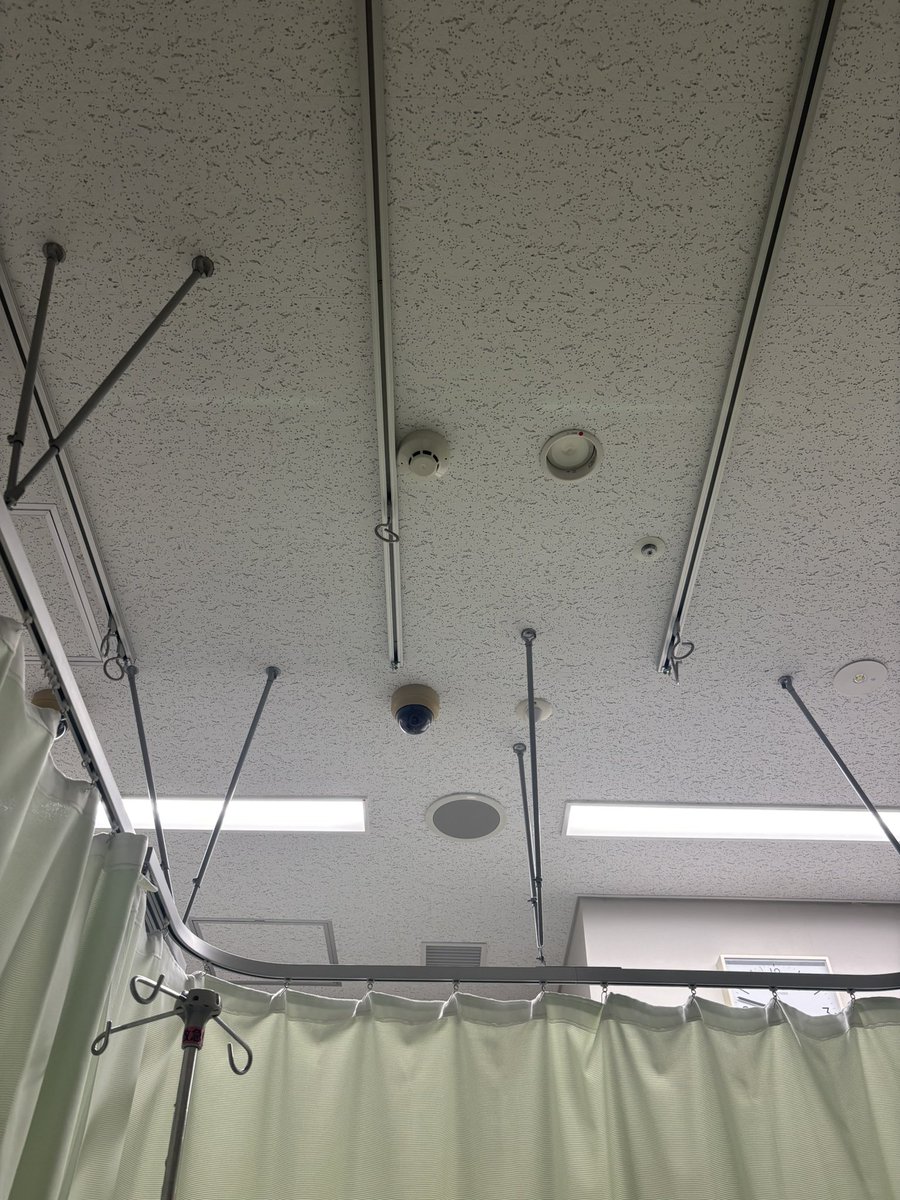 Bekkou_Candy's tweet photo. ぶっ倒れてしまいました。。。今日は寝て休みます。。。 https://t.co/h5WKAghE3P