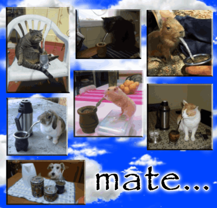 coolfunnnn's tweet photo. miren este collage quehicee!!! https://t.co/GVwOCutxa0