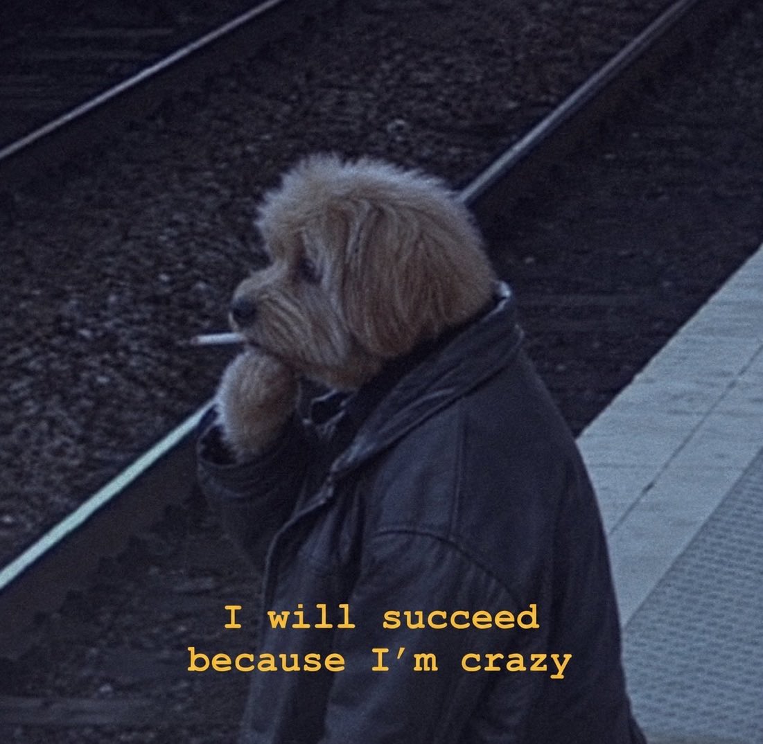 poochmeme tweet picture