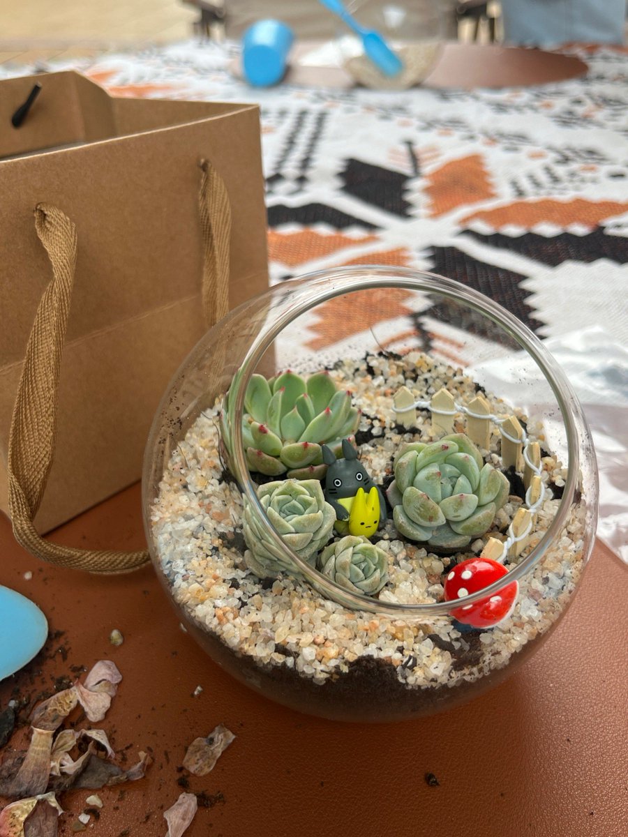 ShyneQshyne's tweet photo. Turn an old glass jar into a cute succulent planter in 5 mins! No fancy tools needed, just some sand u0026 plants.  Give trash a new life! https://t.co/fbQwRCcOCe