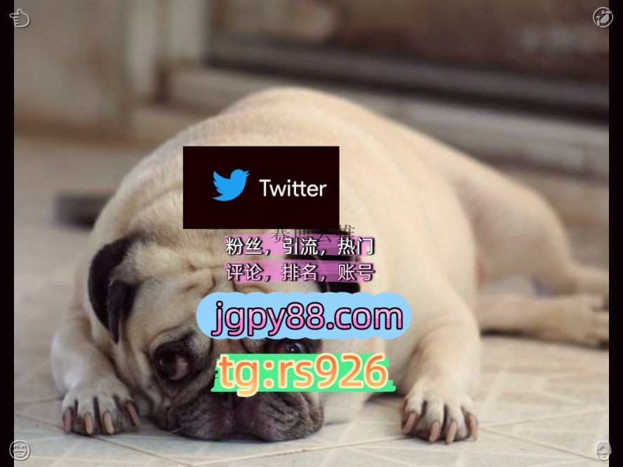 kapi4w's tweet photo. Build joy everywhere you go now.
热门号上门外🏺facebook多账号管理、批量发帖、内容同步
上热门推特账号注册号福州厦门泉州莆田
海外获客🌺互推助手🎌数字货币🍁粉丝号围813756评论截流🎉股票代码🌟辅助工具🔥品牌增长👍
推广台州代发哈尔滨   🎰客.服看→资.料
批量发帖、多账号管理、推广营 https://t.co/uKqDIzyrTD