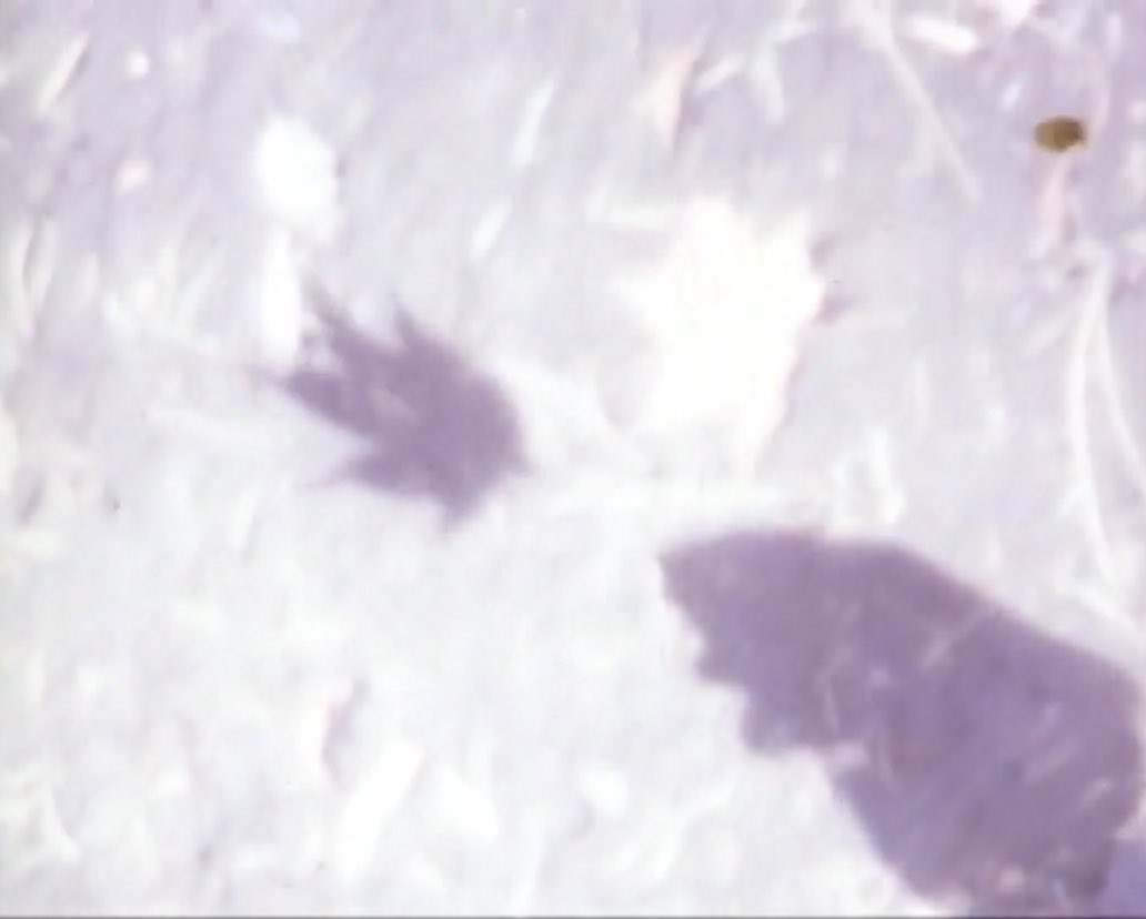 961MARYZ's tweet photo. all alone, 1985 directed by isao yamada. https://t.co/CKzifMEMjY
