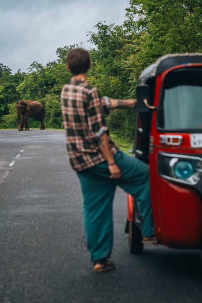 dahaoniov's tweet photo. 伊��を訪れると穏やかな渚に出会える。 https://t.co/BSkbrul6rX