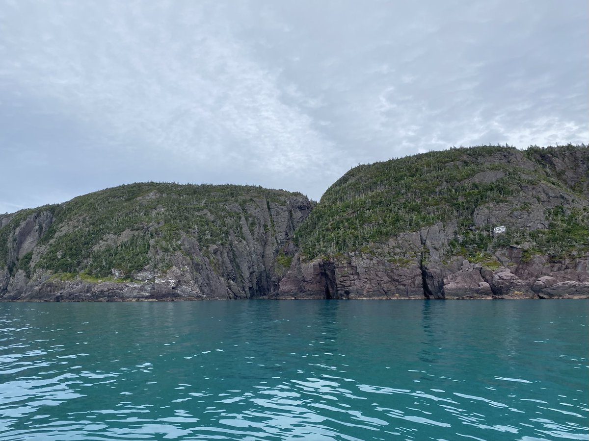 CorinaJReid's tweet photo. #TrinityBay turquoise water is insane today!
#Winterton #Boating #NLwx #ShareYourWeather https://t.co/ilTEBIdbw6