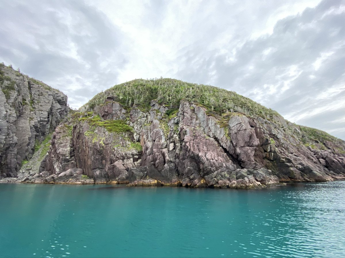 CorinaJReid's tweet photo. #TrinityBay turquoise water is insane today!
#Winterton #Boating #NLwx #ShareYourWeather https://t.co/ilTEBIdbw6
