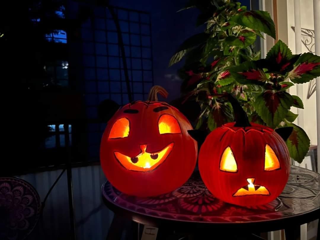 guttrgoth's tweet photo. night in the woods jack-o'-lanterns from a couple years ago #nightinthewoods https://t.co/74AFPvgT5W