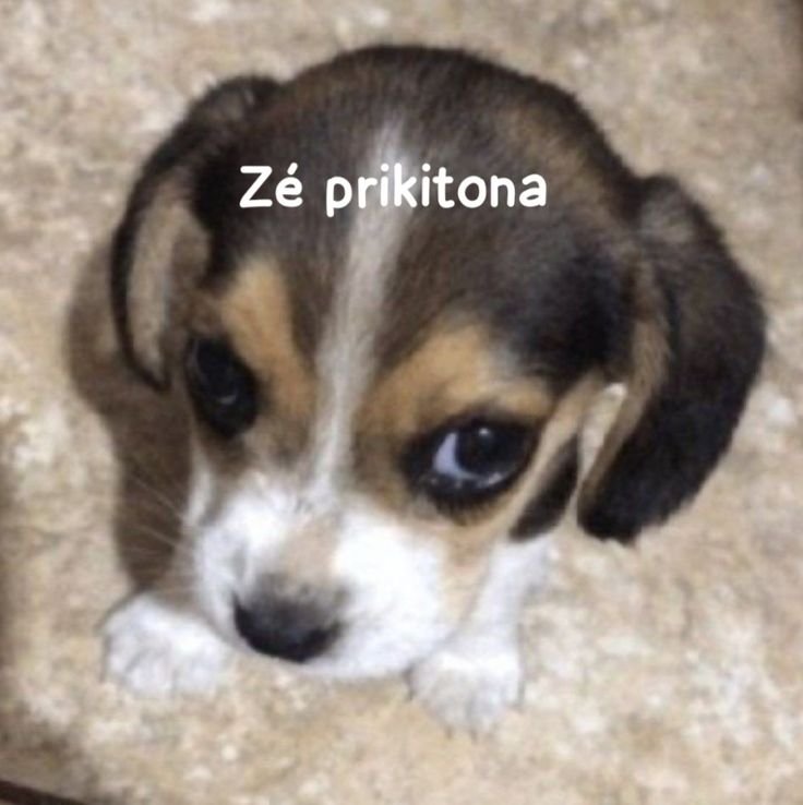 Deveri_zix's tweet photo. meu top 5
🥇 L 
🥈 R
🥉 I
4° J
5° A

🏅 menção honrosa ao outro L pelo bqt https://t.co/wKyV6FzrNG