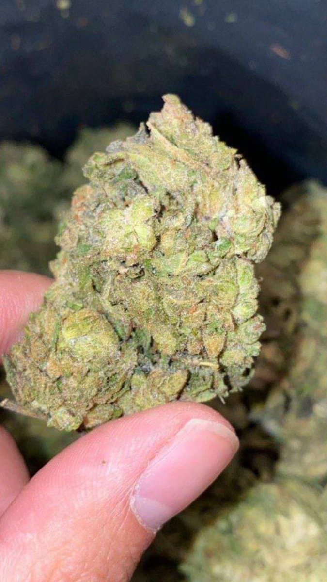 WEEDLONDON2_'s tweet photo. Cali Weed in Uk Vapes Candy Edibles 🍭 in Southampton Newcastle Nottingham London #LondonTravel Glasgow
Liverpool Bristol Manchester Leeds Leicester Luton Edinburgh Sheffield Bath Vapes England #Nufc https://t.co/MmhWgnZk8s
