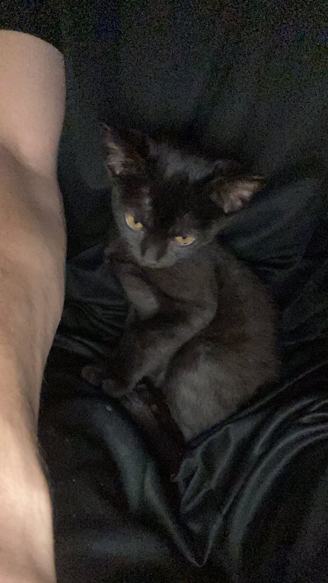 Renann29's tweet photo. ele era TÃO fofuchinho quando era bebê 🥺🥹🥺 https://t.co/g8jea9Exr8