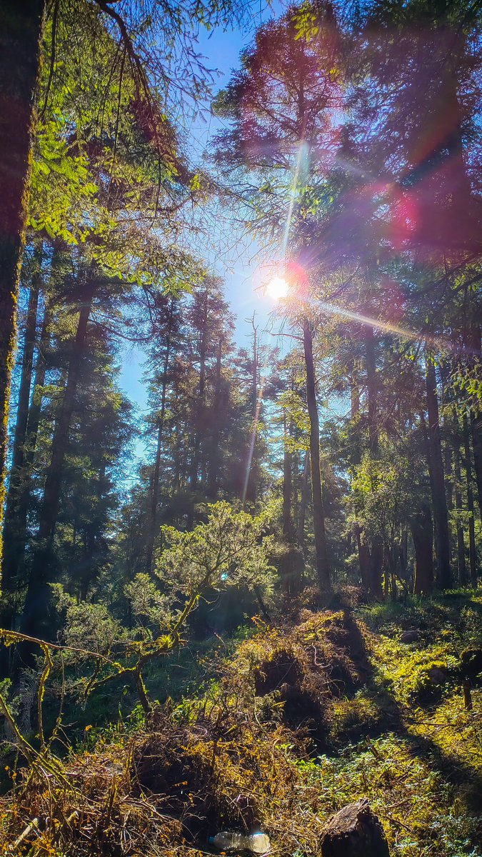 Videoivan's tweet photo. Unos días en el Parque Nacional El Chico.

#MineralDelChico #Camping #Senderismo https://t.co/PDI7wq2B8t