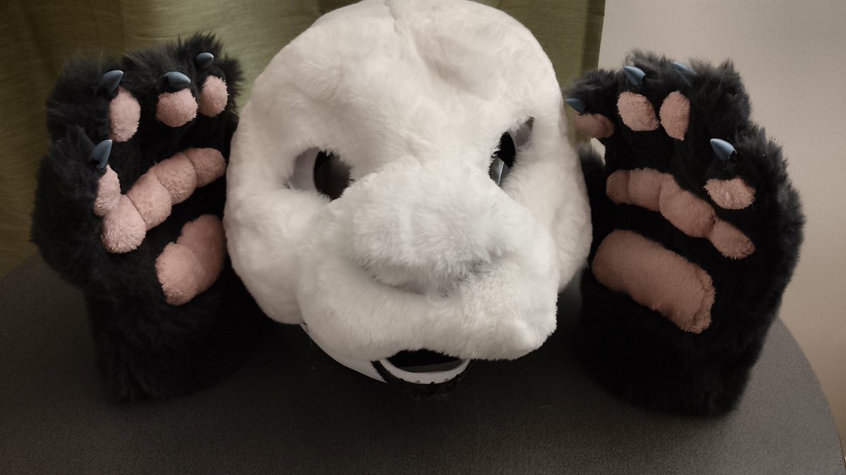 GoodMoodMaster's tweet photo. My progres in fursuit making. Head still not ready but it a lot cuter than before, I very much love this fur it's super soft and white, in irl look even better. 
#furry #fursuit #panda #GMM #BerlinFurry #FurryBerlin https://t.co/Gv5ZlNY8LH
