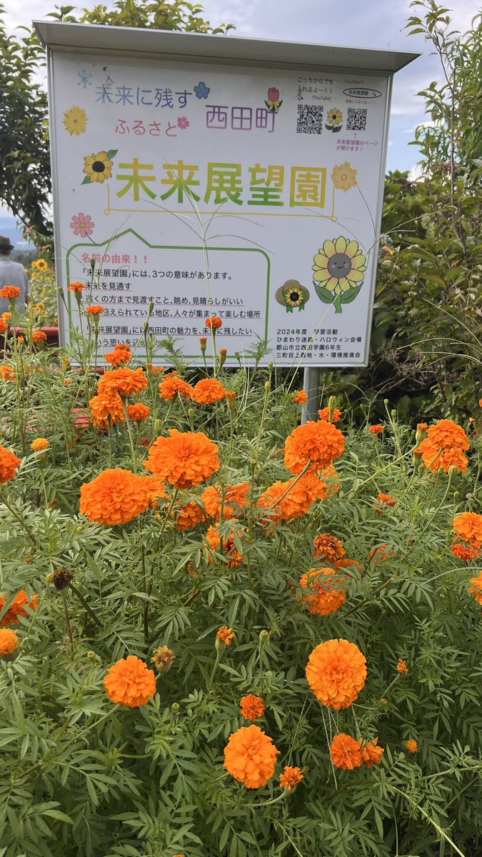 7007Morich's tweet photo. 西田町の未来展望園
ひまわり畑の後ろには安達太良山も
見える😉
#空ネット
#シェア天
#郡山市 https://t.co/h2HHQDiC9r