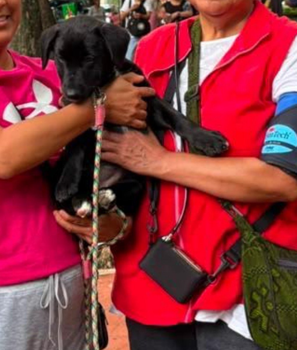 VIBRAmascotas's tweet photo. #finalfeliz #adoptadas
Amigos estas hermanitas ya tienen familia
Amamos fines de semana así 😍
Hoy tres adoptados
Muchas gracias 🫂 https://t.co/zswnmDIuMq
