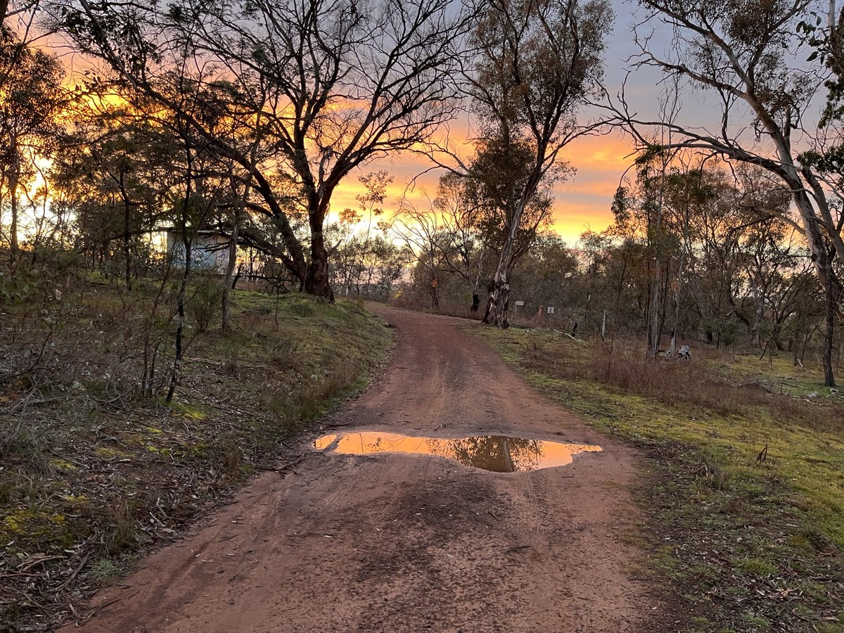 ALeighMP's tweet photo. The Canberra bush at its morning best. #auspolrunners https://t.co/vJcHOtgTmO