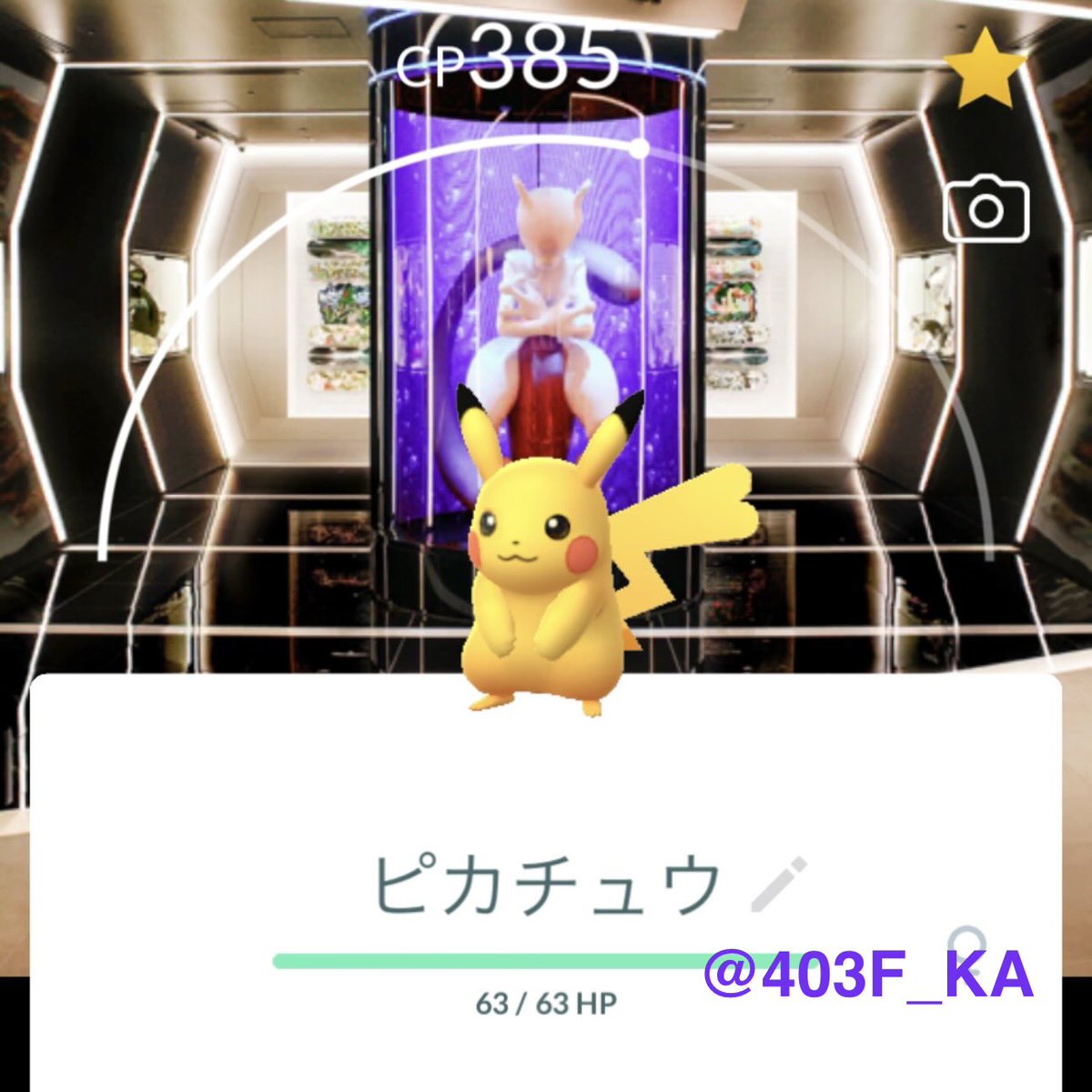 403F_KA's tweet photo. ポケモンセンターシブヤ背景ゼニガメ
#Mewtwo #ミュウツー https://t.co/PWLE2ZcXQS