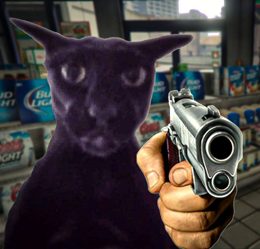 EvilLarry_cat's tweet photo. GM. Say it back. $Larry https://t.co/AfyD7LlVDx