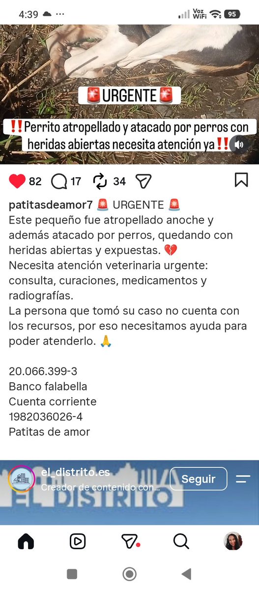 Katherin8782818's tweet photo. @patitasdeamor7 Instagram este perrito fue atropellado anoche y atacado por perros,quedo con heridas expuestas ,necesita veterinario cuenta de aportes en la segunda foto #PuertoMontt Rt urgente https://t.co/qJX4Sh3AzL