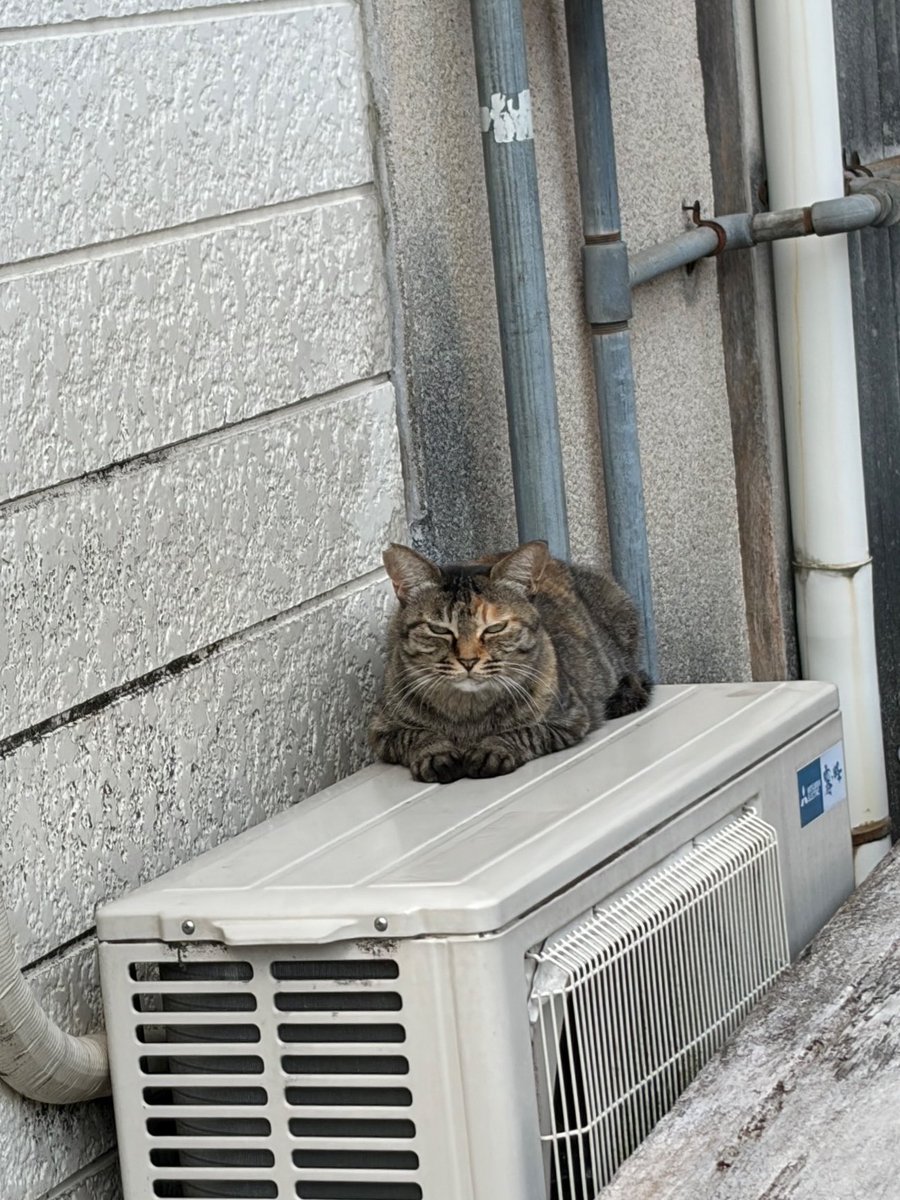 5e4lz's tweet photo. 闇バイト辞めてません https://t.co/cAYeSF7DmG