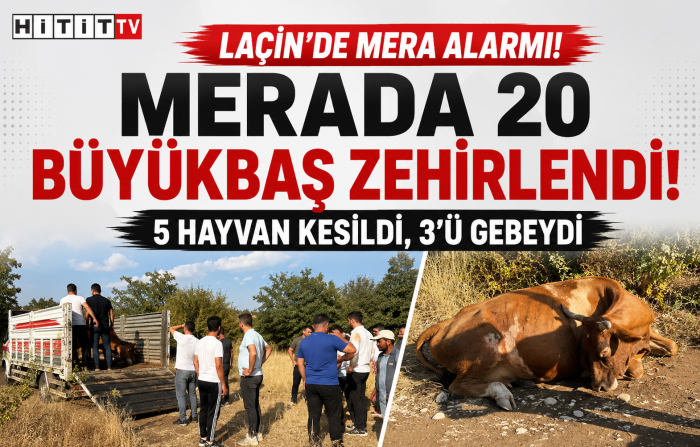 HitittvNet's tweet photo. 🇹🇷 https://t.co/GSpUezghjQ
https://t.co/rLsDobFAfS
☑️Çorum’da 20 Büyükbaş Hayvan Zehirlendi: 5’i Kesime Gönderildi...
#HititTVNet #Çorum #Laçin #ÇamlıcaKöyü #Kırkdilim #Büyükbaş #Hayvancılık #Zehirlenme #ÇorumHaber https://t.co/bCNBJjMdNK