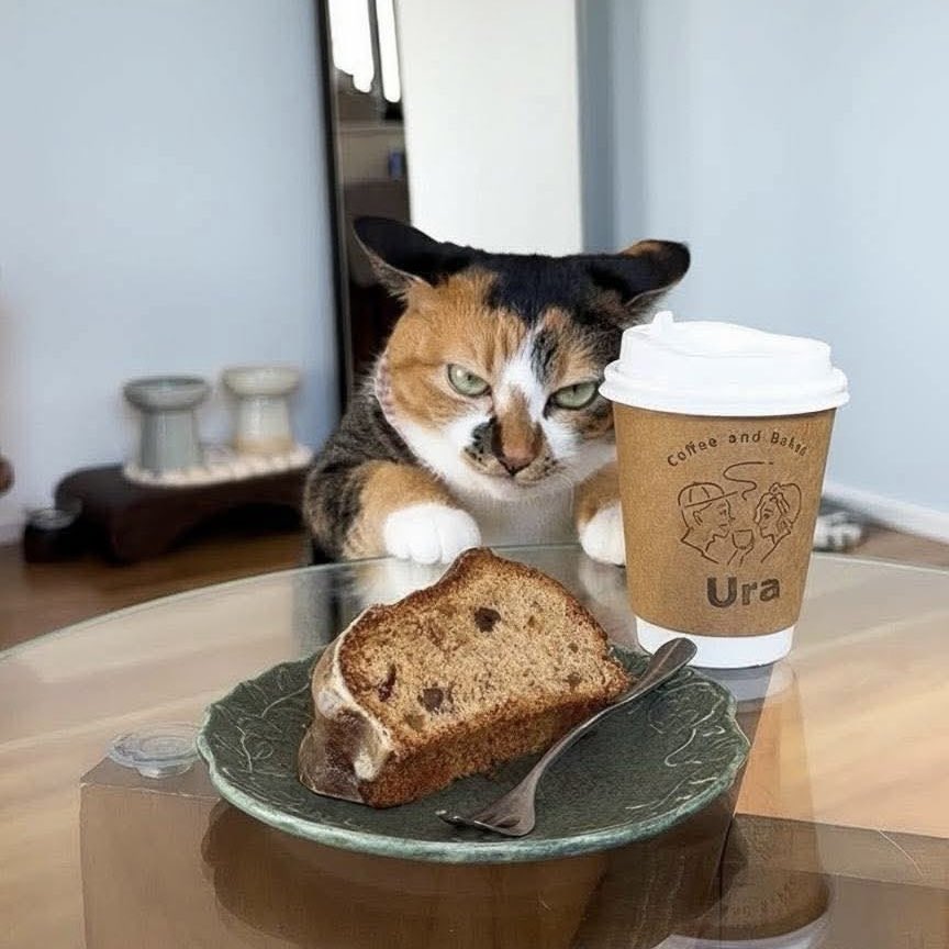 xmenjunoAppJP's tweet photo. 🍞☕️
 #イラスト #猫 https://t.co/SZNOdHBdvI