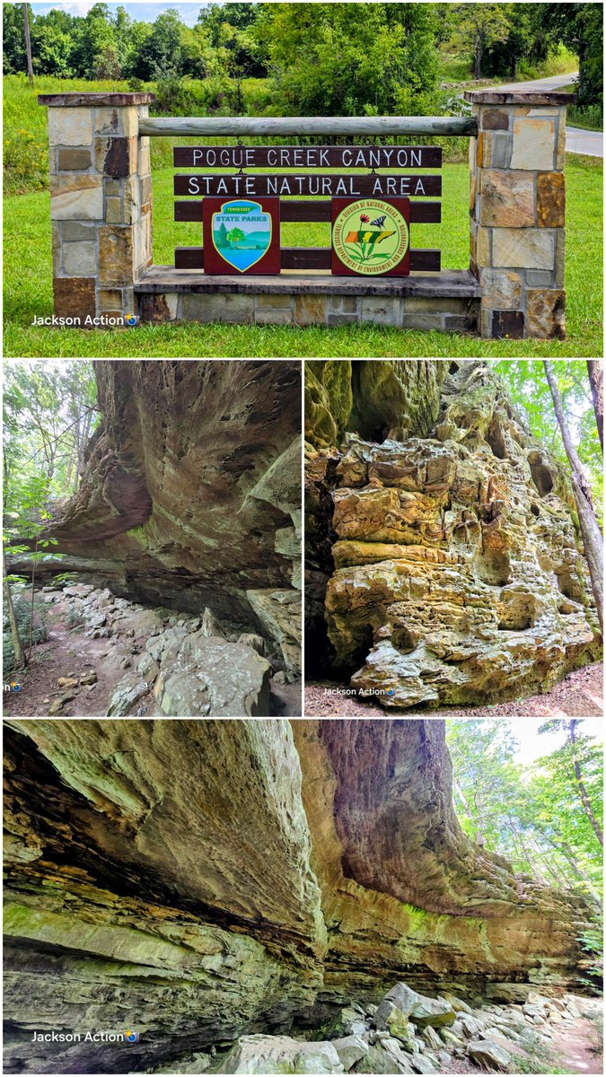 LifeofBandT's tweet photo. Pogue Creek Canyon Fentress County Tennessee adjacent to Pickett State Park. Massive sandstone formations /rock houses. Hard to beat  the quiet up on the plateau. Not a soul... https://t.co/FdmV5AZm7r