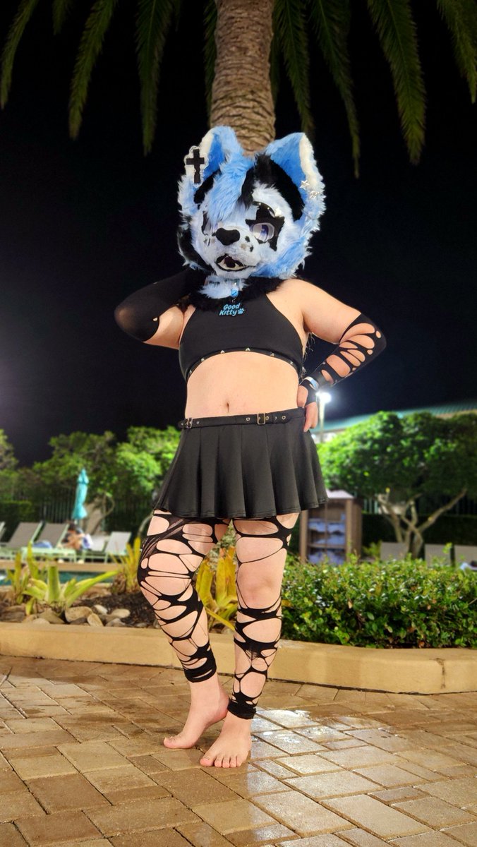 SaccuPaws's tweet photo. Go for a dip with the kitty~? https://t.co/72wSZF5S9k