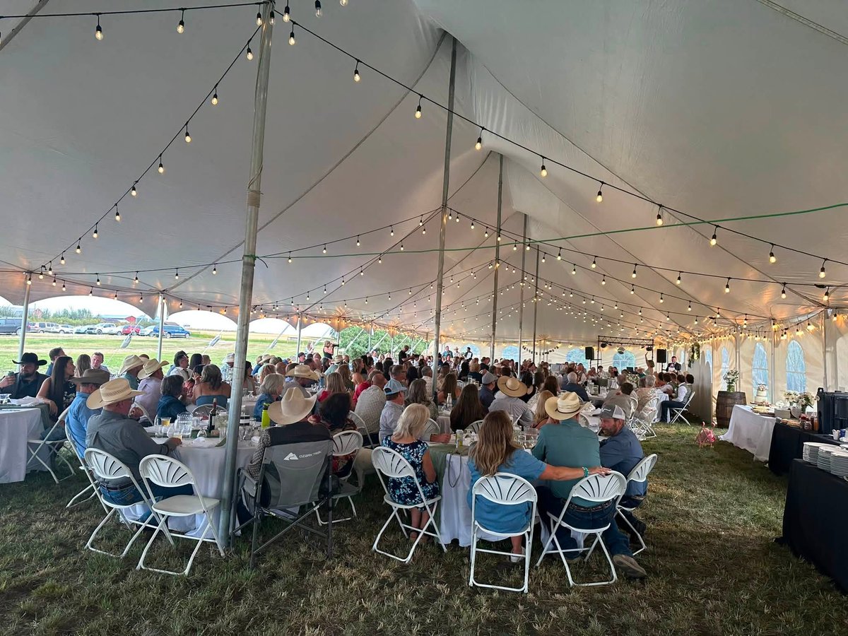 MissLayLac's tweet photo. What a beautiful day filled with happiness, great people, and amazing memories. Weddings have a way of reminding you how special love, family, and togetherness truly are. So grateful for the good vibes today brought. 🥂🤍 https://t.co/szUuutQm99
