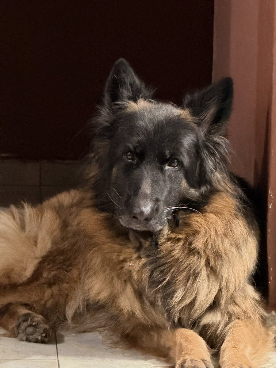 msebascabrera's tweet photo. Se me fue al
Cielo hoy , el amor de mi vida 💔. Mi Lupita. No me cabe más dolor en el pecho. Te espero siempre donde quiera que estés https://t.co/TU9L4JCAl1